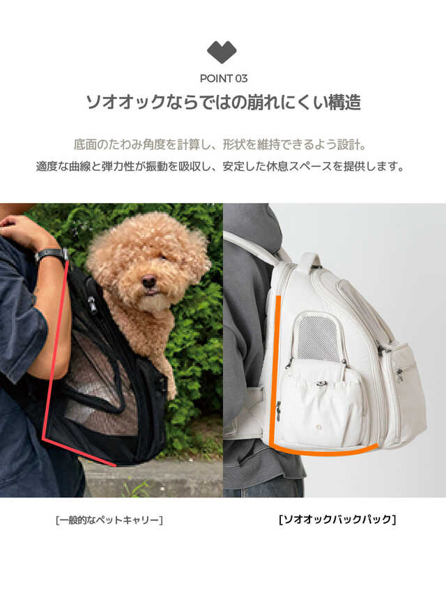 ssoook フロントバック Lサイズ SSOOOK バックパック SO-CA431 Lサイズ