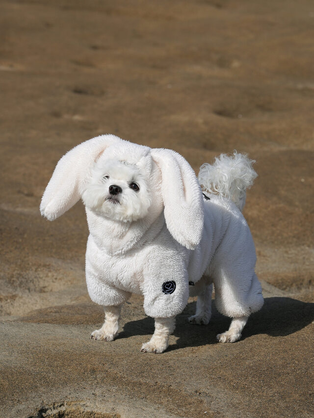 SSOOOK ボアラビット カバーオール（男女兼用) [SO-OW017] | SSOOOK