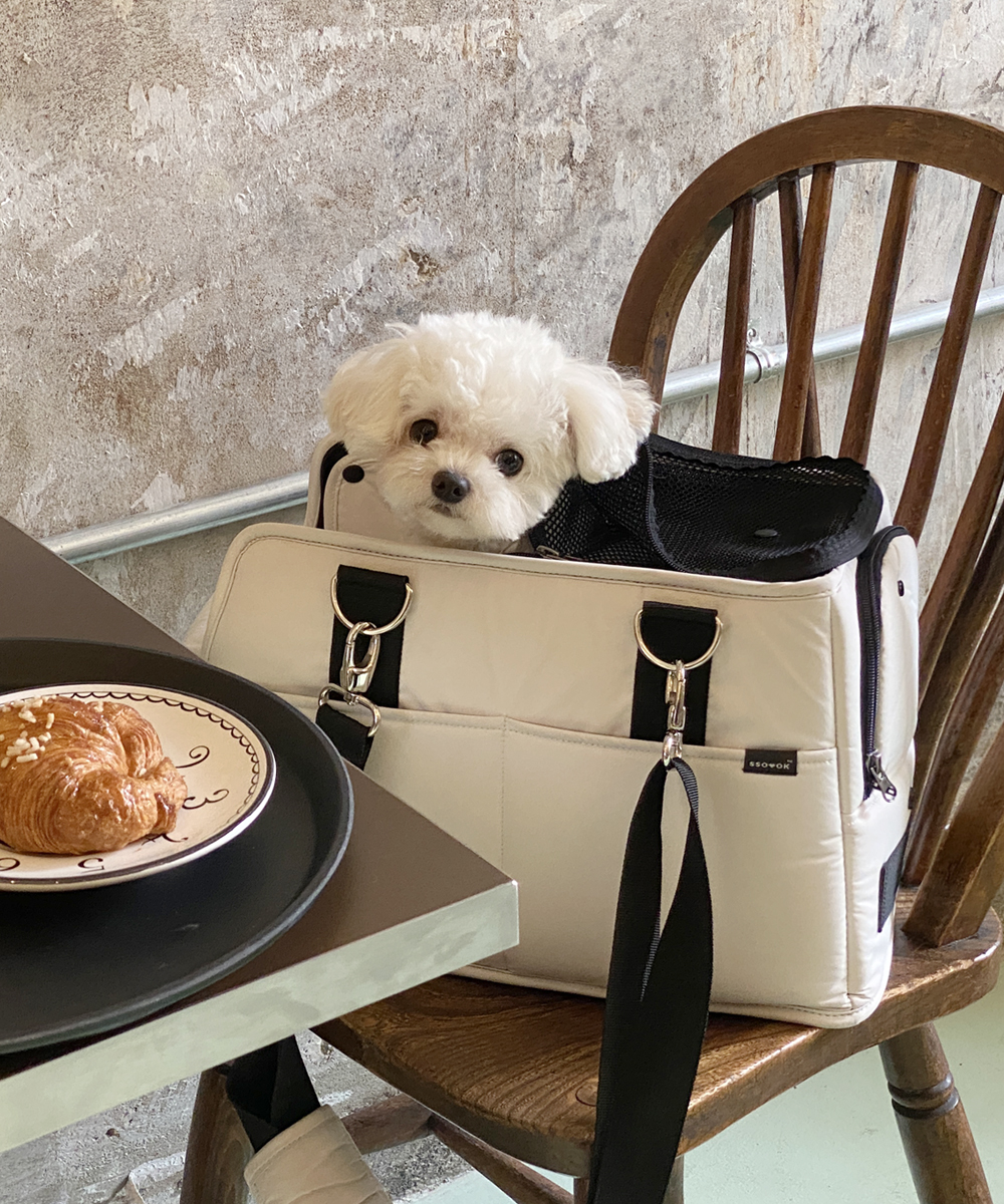 SHOP - SHOP - SSOOOK