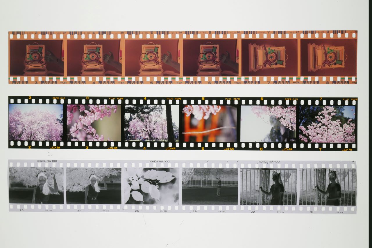 撮影目的に合ったフィルムの選び方[ヴィンテージカメラの楽しみ方] Vol