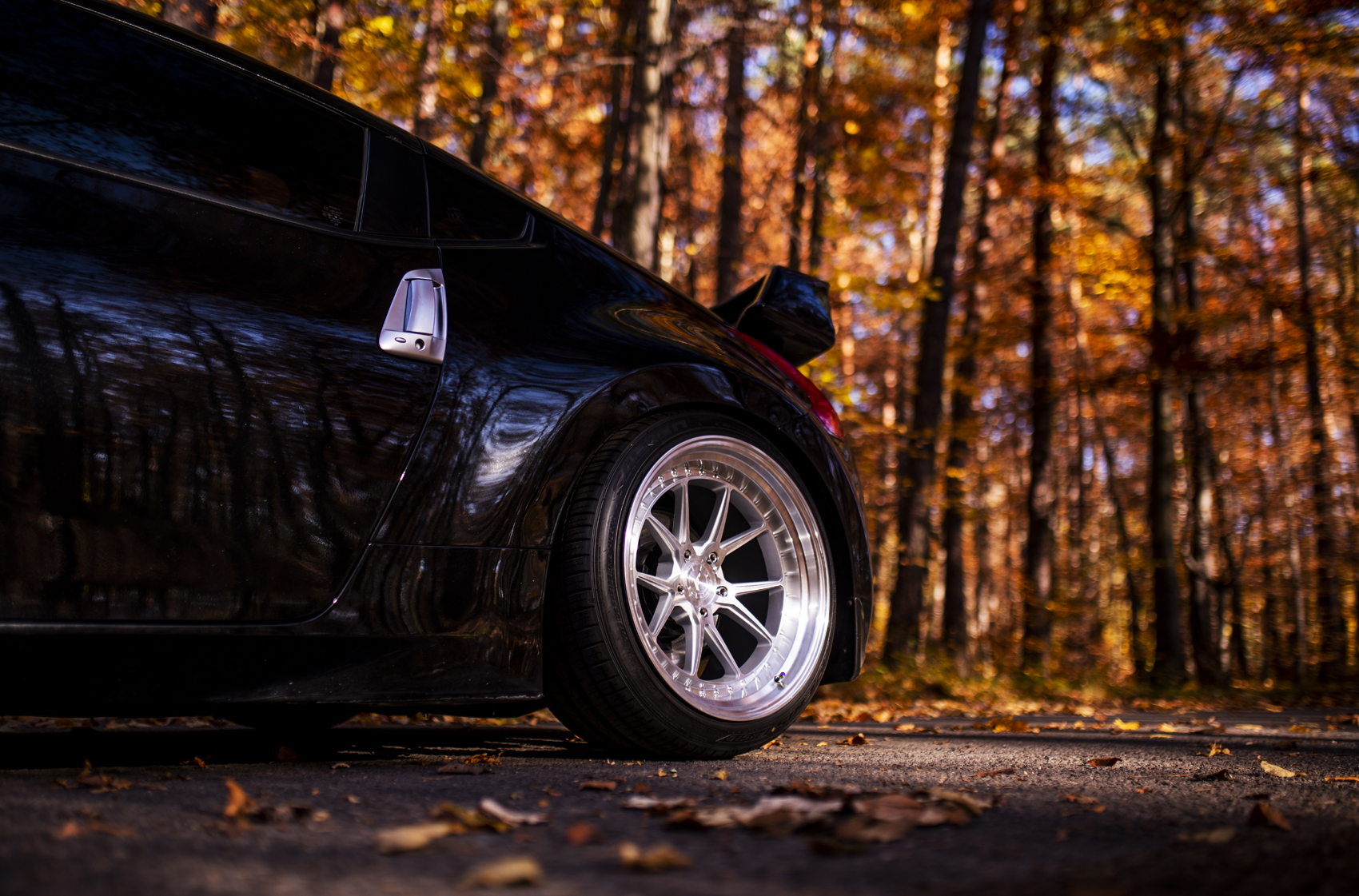 テールドシエル2023 アビーズバインズ2021 テールドシエル2023