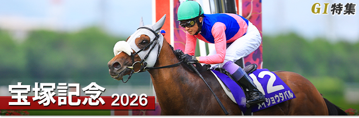 1977年有馬記念写真パネル 1977年有馬記念写真パネル 1977年有馬記念