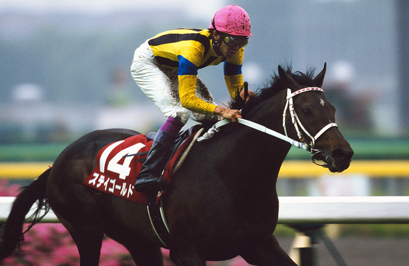 競馬】ステイゴールド（香港ヴァーズ）デジタルフォト／久保吉輝／JRA