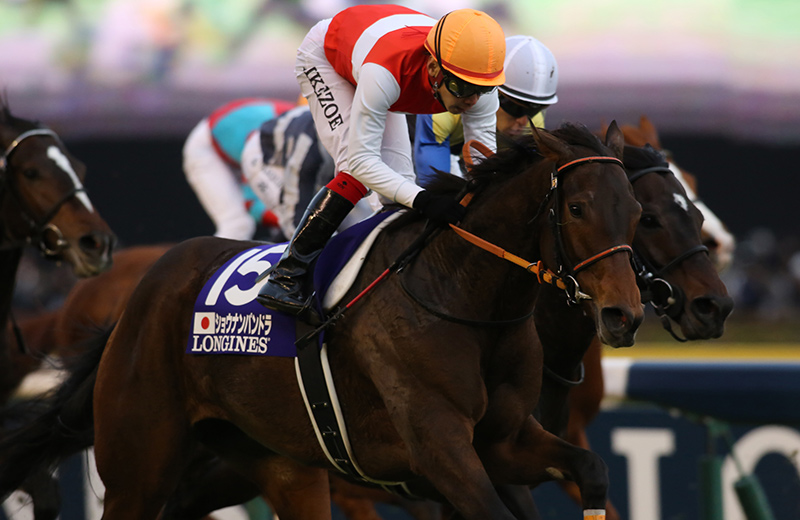 ショウナンパンドラ｜名馬メモリアル｜競馬情報ならJRA-VAN