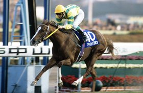 フラワーパーク スプリンターズS 1996 Sprinters Stakes (GⅠ