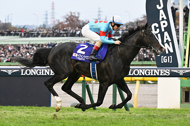 2023年 ジャパンカップ JRA