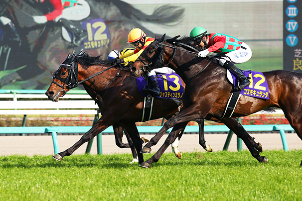 JRA 【 競馬実ゼッケン】 G1皐月賞 ダノンタッチダウン号 川田将雅J