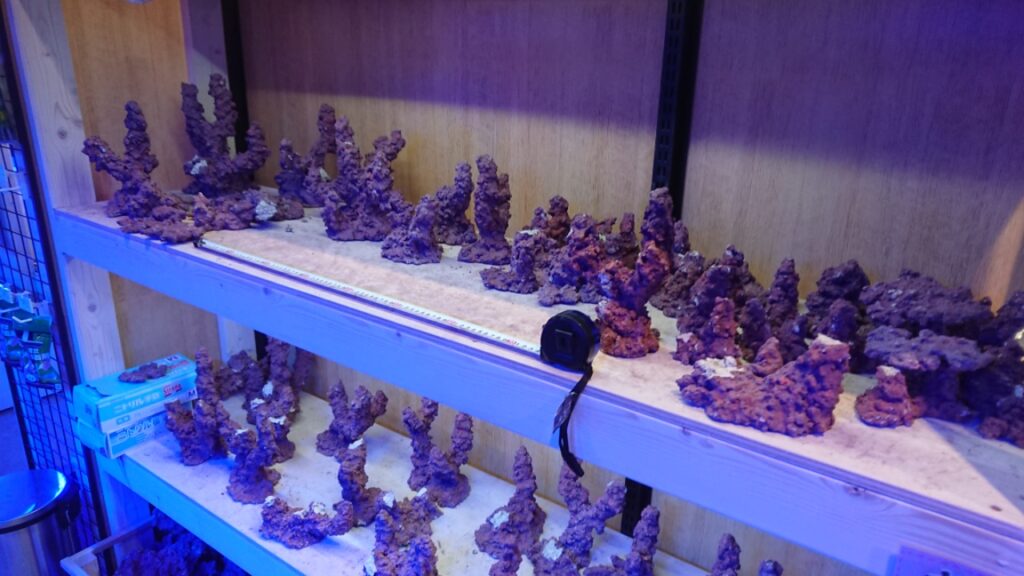 レイアウト済jsコーラルロック 人工ライブロック レイアウト済js