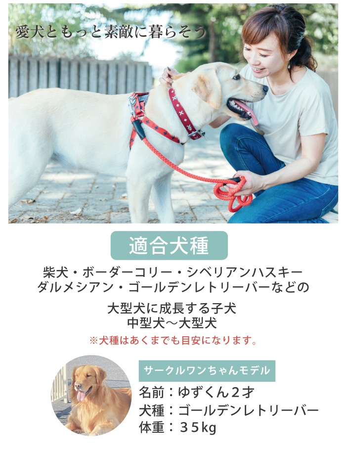 ものづくりのカシワ / ペットサークル アルミ製 H90×W120cm 9-4A