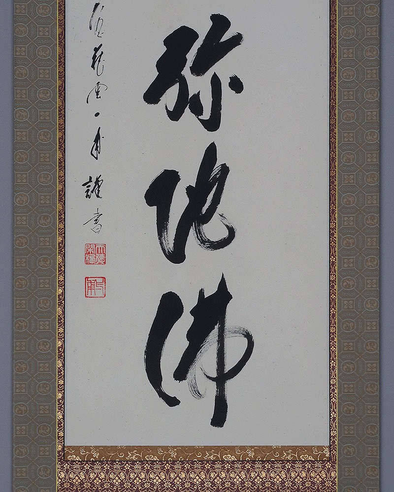 J366 掛軸 大徳寺 立花大亀 『鶴舞千年松』 共箱 『真作』 肉筆