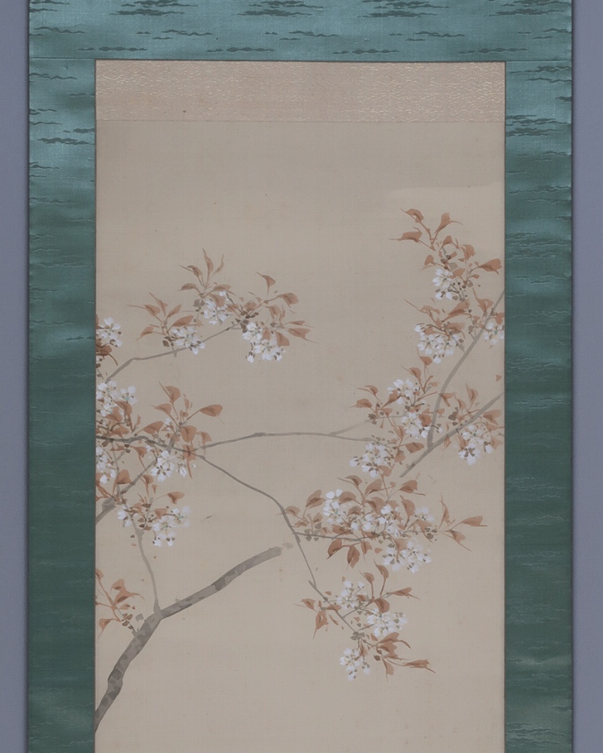 徳田隣斎 桜下倭鶏 | 掛軸(掛け軸)販売／表装ご依頼は掛軸いっぷく掛軸