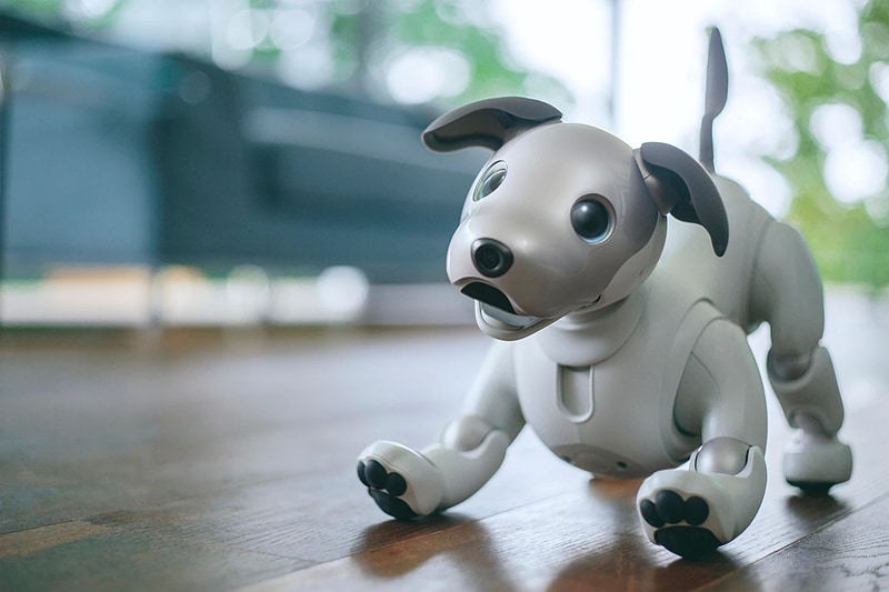 ソニーの「aibo」がLTE対応で復活、オーナーの感情を学習するように