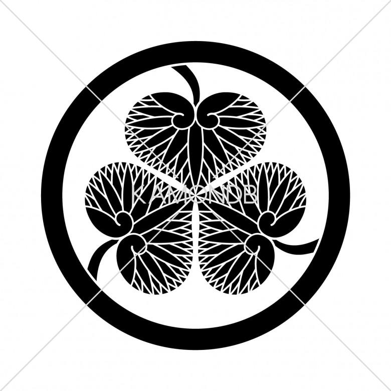 大名家伝来 徳川家三つ葉葵紋入・大・小 揃い拵え 梨地鞘に