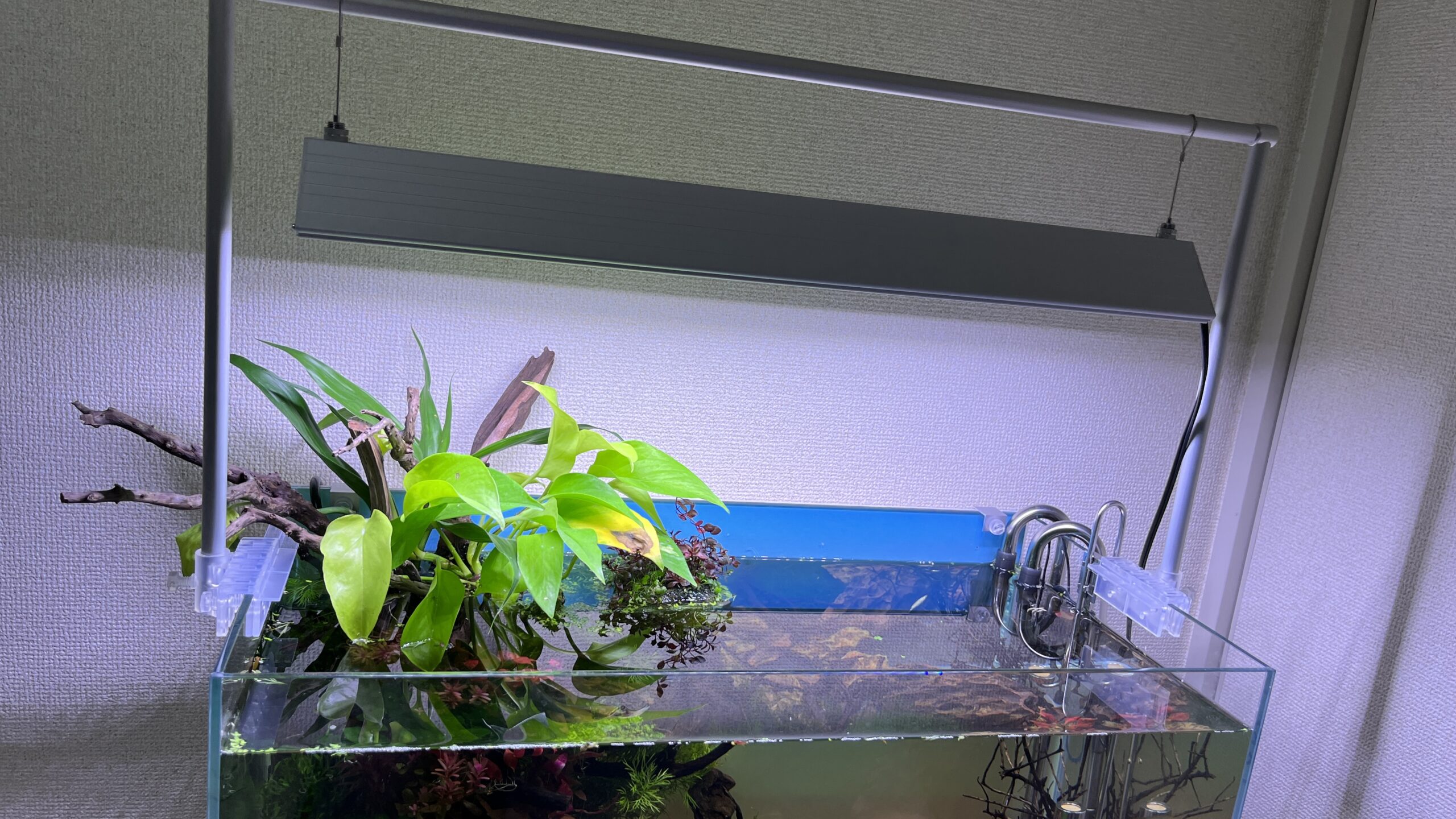 アクロ Pro 300 4450lm +Rgbライト30cm amaran 300c RGB LED