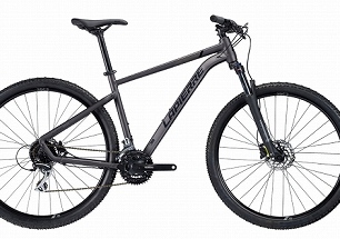 GIANT ジュニアスポーツバイク 24インチ グレー 2023 GIANT Bicycles