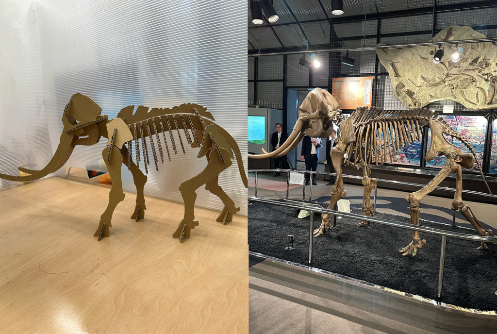 150万年前の アケボノ象！あらわる！ - カネパッケージ株式会社