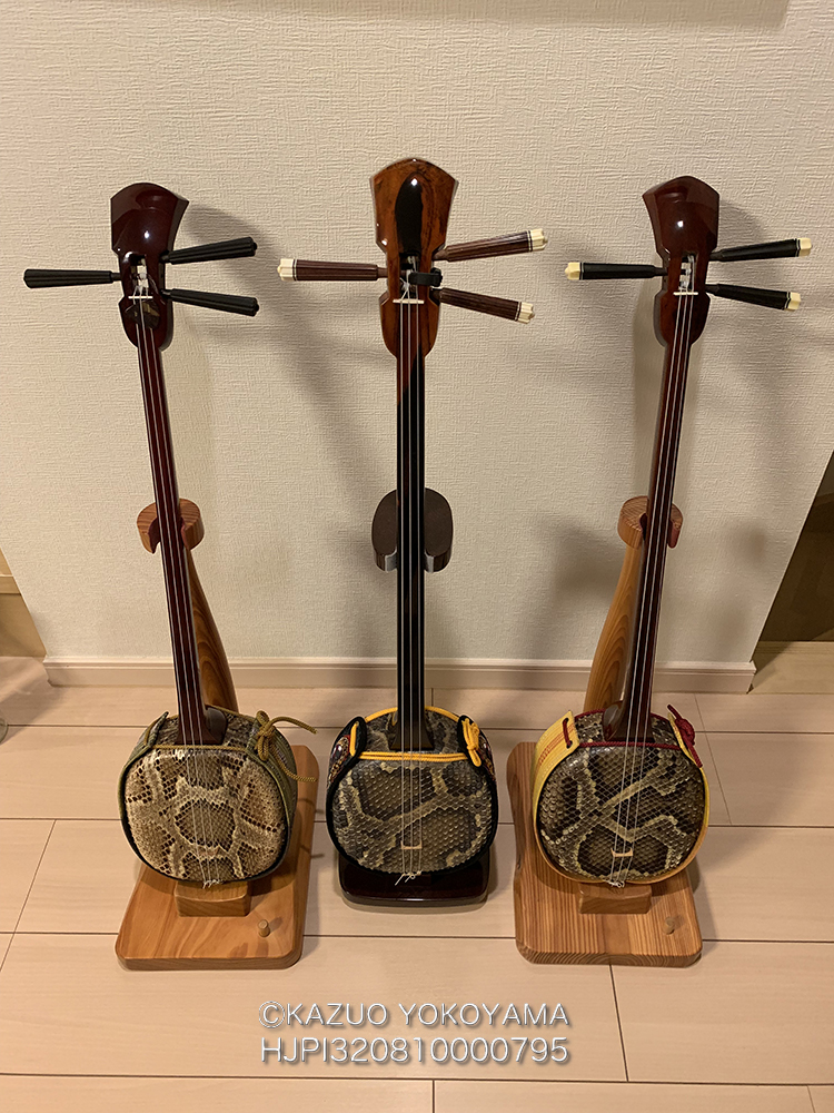 三線（沖縄三味線） ゆし木 三線（沖縄三味線） ゆし木棹 沖縄三線