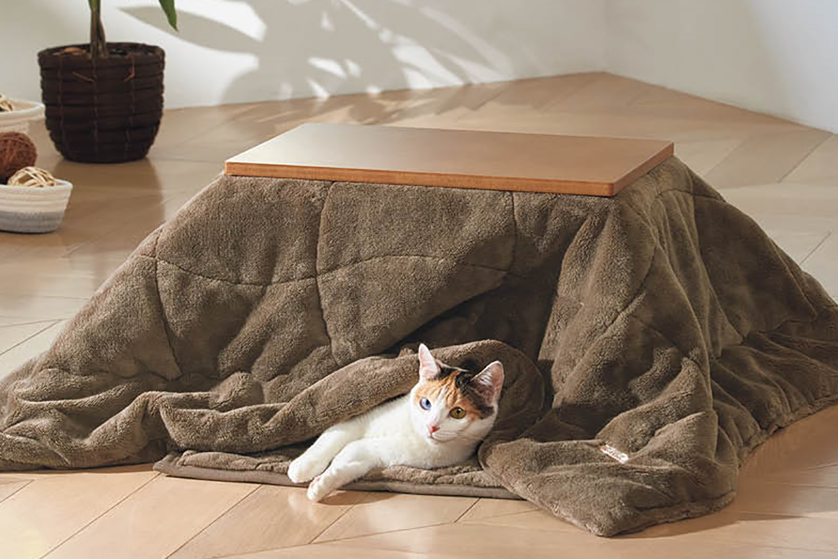 ペット専用こたつ 電気代ゼロで暖まる - 家電 Watch