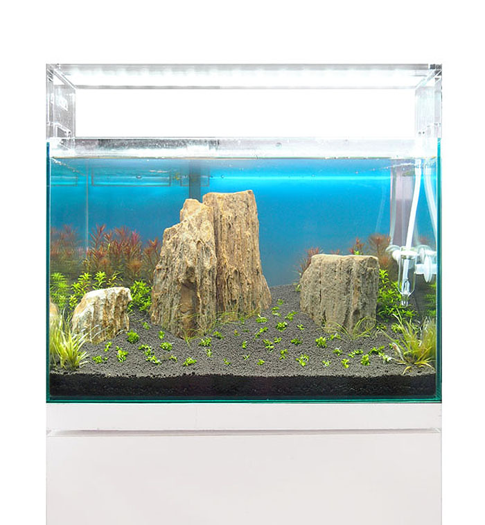 値下げ アクアスカイG 301 ADA オマケ付き 新品未使用 ADAアクアスカイ