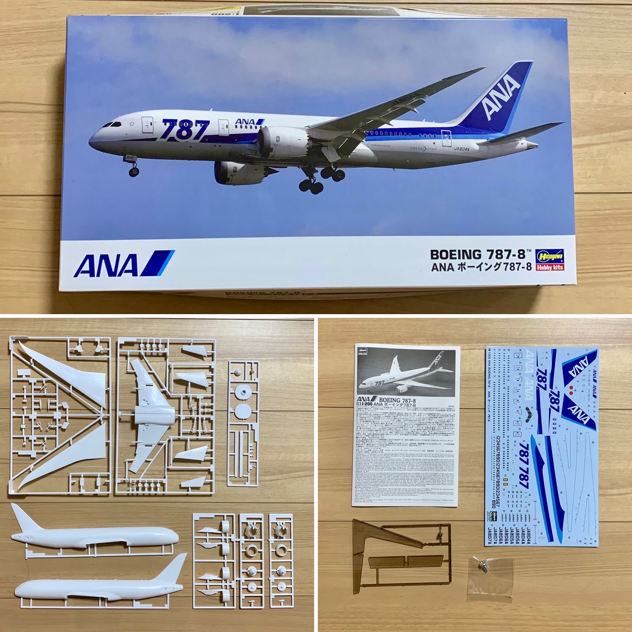 B787-10 ANA塗装 国際線仕様 1/200 B787-10 ANA塗装 国際線仕様 1/200