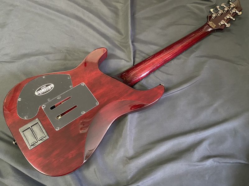 SCHECTER / シェクター HELLRAISER C-7 FR SUSTAINIAC AD-C-7-FR-HR/SN