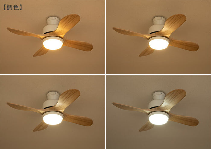 シーリングライト・天井照明 WTK29129 シーリングライト・天井照明