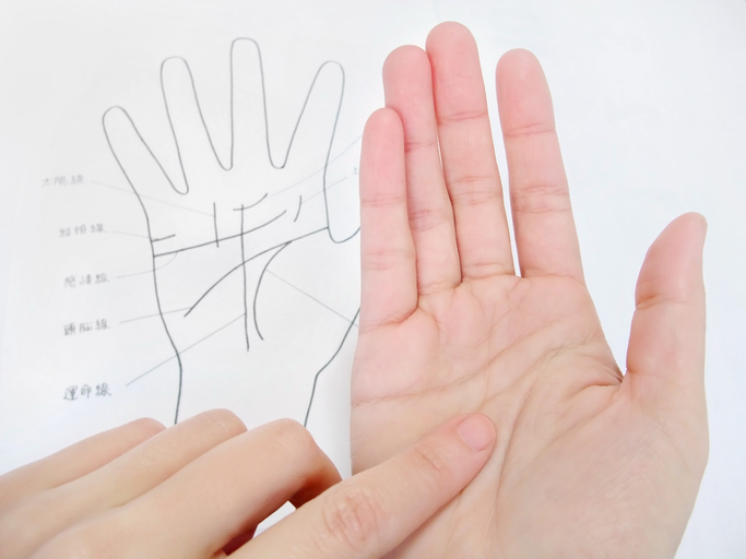 掌相院流 写真で学ぶ手相の気色血色 手相気血色鑑定秘伝