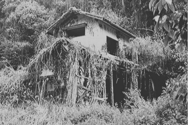 7つの家の村 心霊スポット】住人達は一体どこに？七つの家。【山口