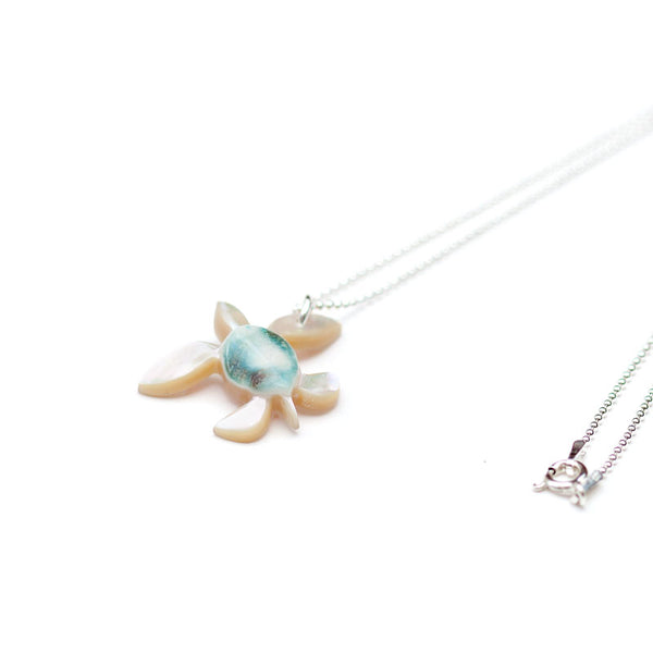 夜光貝 まとめ5個セット 美品 12-14cm 置物 色合いが美しい 夜光貝