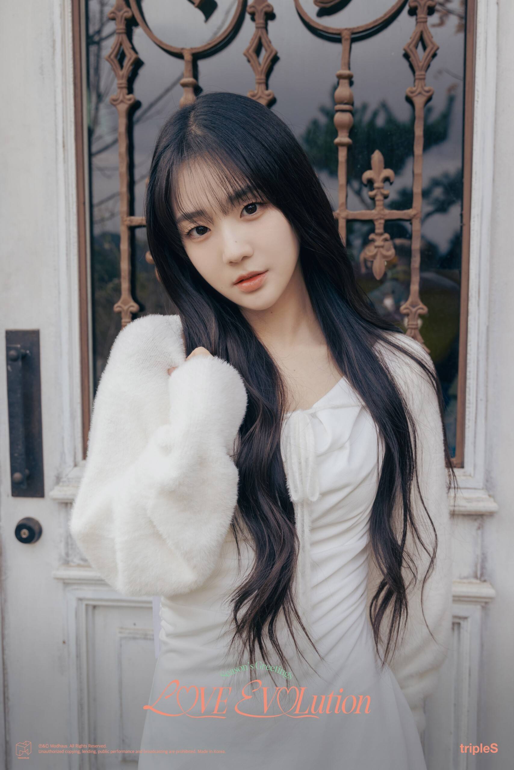 トリプルエス イ・ソヨン Objekt セット 購入 tripleS(トリプルエス