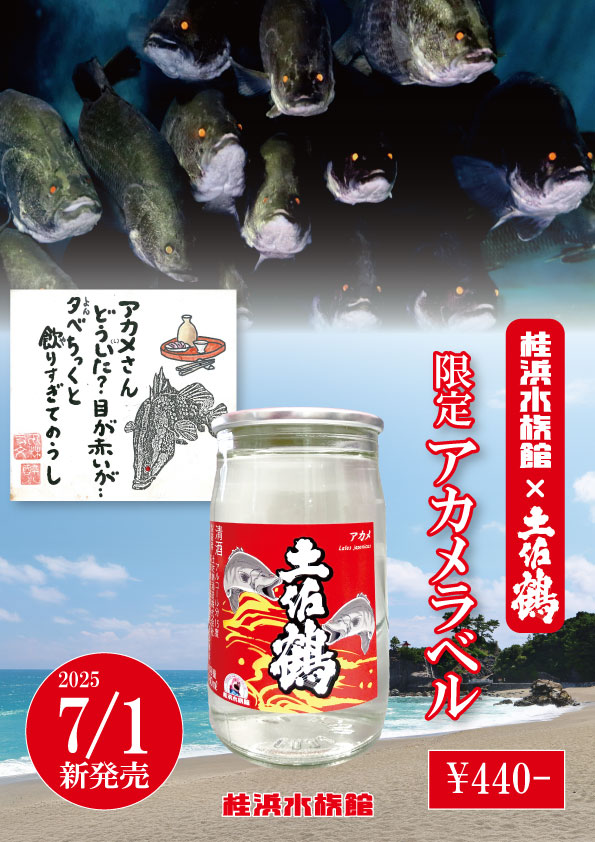 桂浜水族館インフォメーション】ひろめ市場で「アカメラベルワンカップ