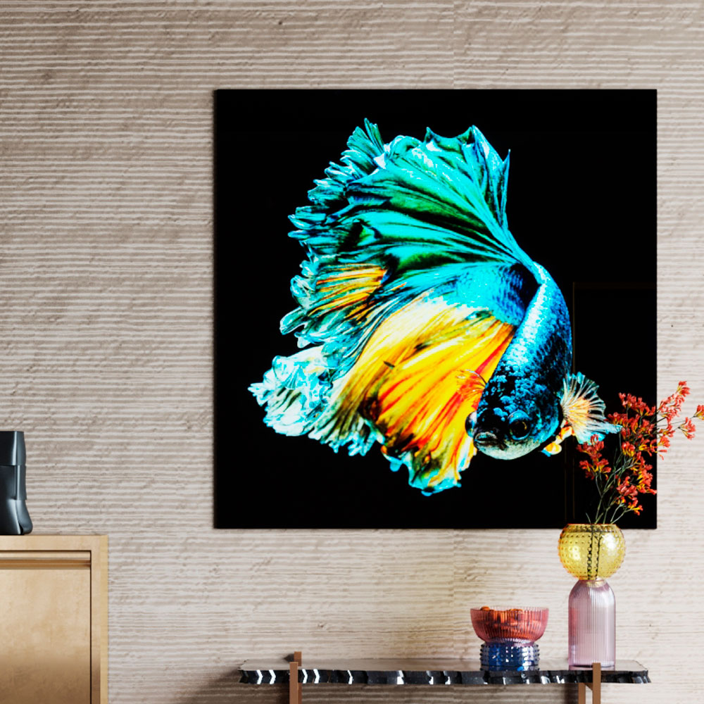 廃番】アクアクイーンフィッシュ100x100cm ガラスアート ｜【KARE