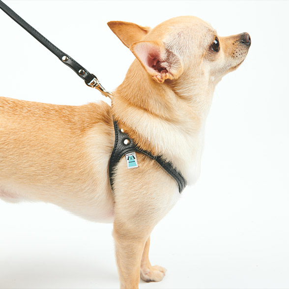 kazama ハーネス ピンク SS ゴールド金具 パール kazama ハーネス