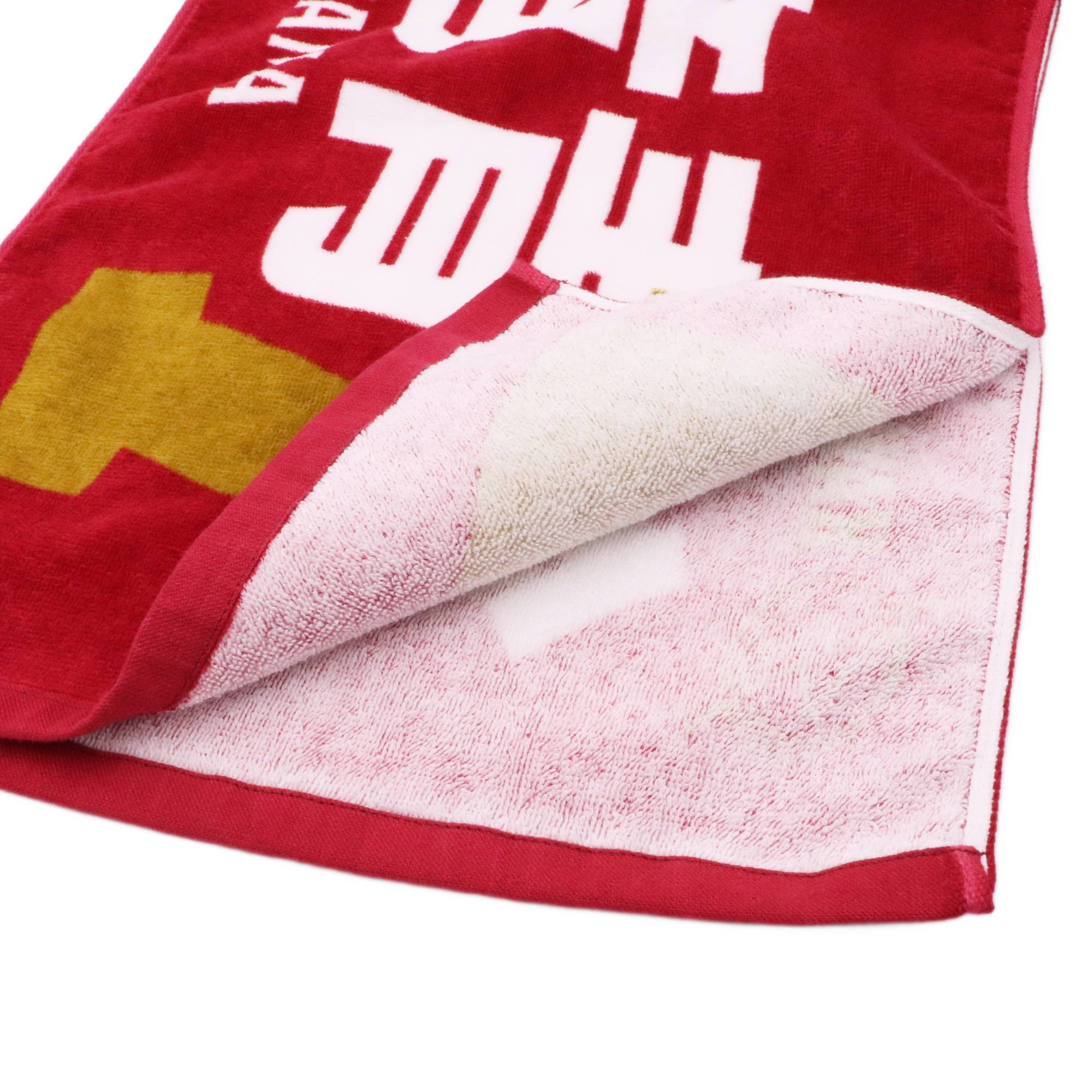 タイトルホルダー 凱旋門賞 フェイスタオル 2024-25 選手名タオル(HOME