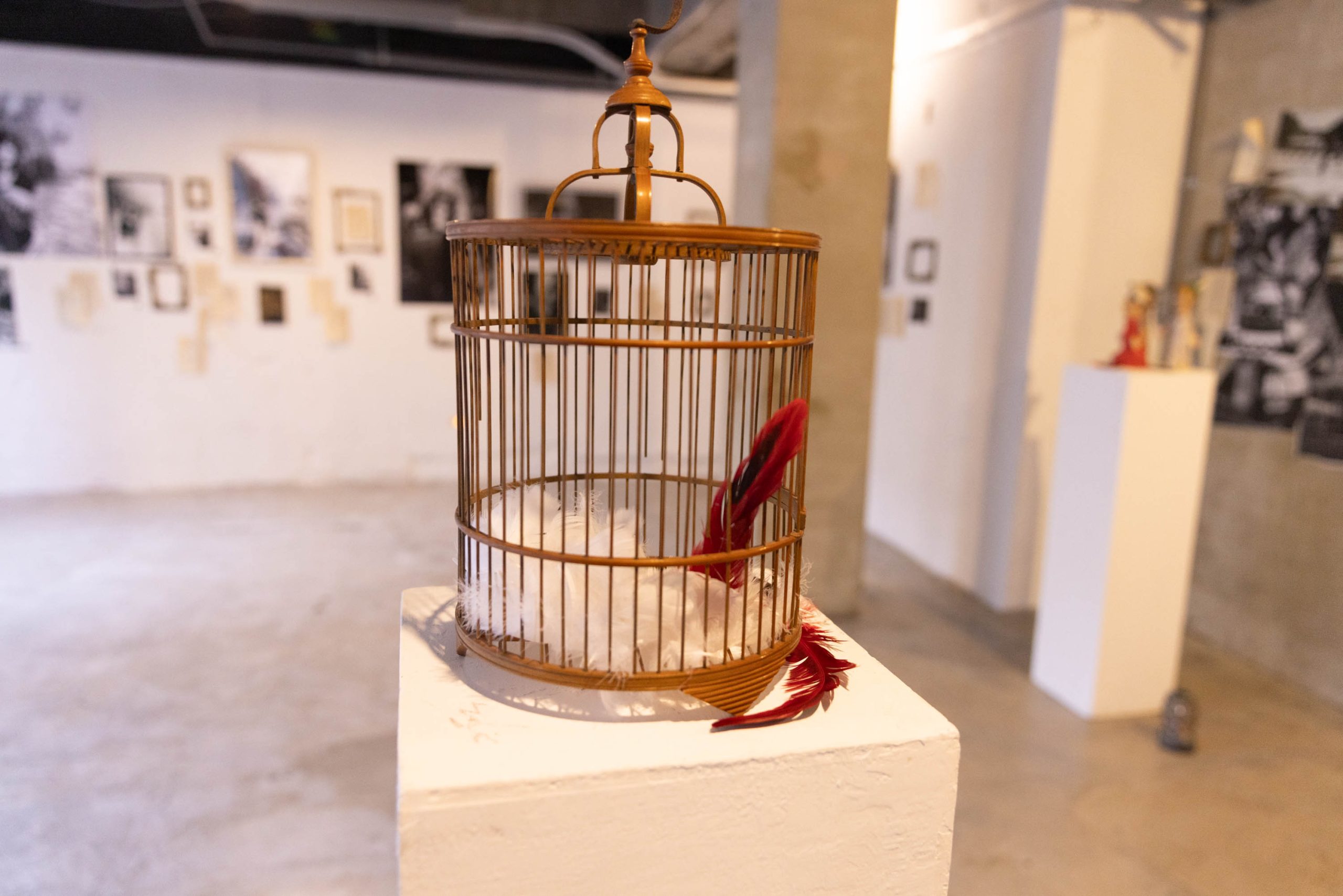 探索虛實之間的邊界/ 走進寫真館Gelatin X 有村⻯太朗「幽園地/ yûenti