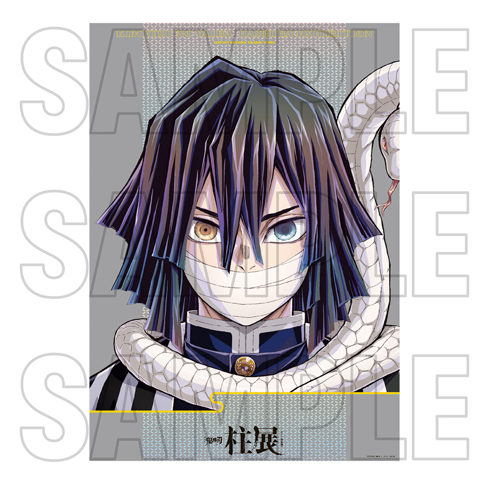 鬼滅の刃 冨岡義勇 キービジュアル ポスター 鬼滅の刃 冨岡義勇 柱