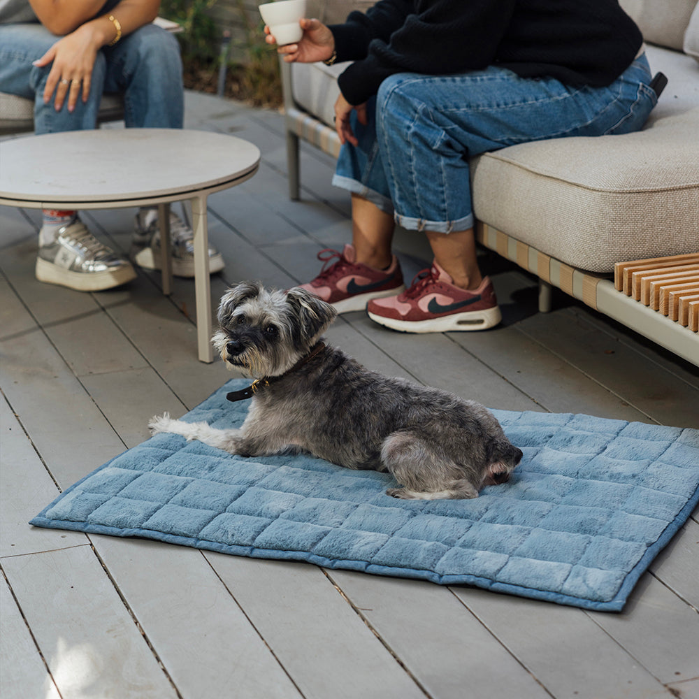 NomadNap - Travel & Portable Dog Bed | KindTail
