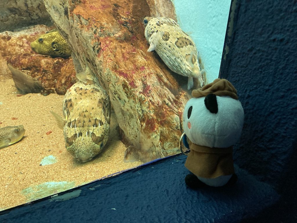 志摩マリンランド☆マンボウ☆記念メダル☆茶平工業 志摩マリンランド