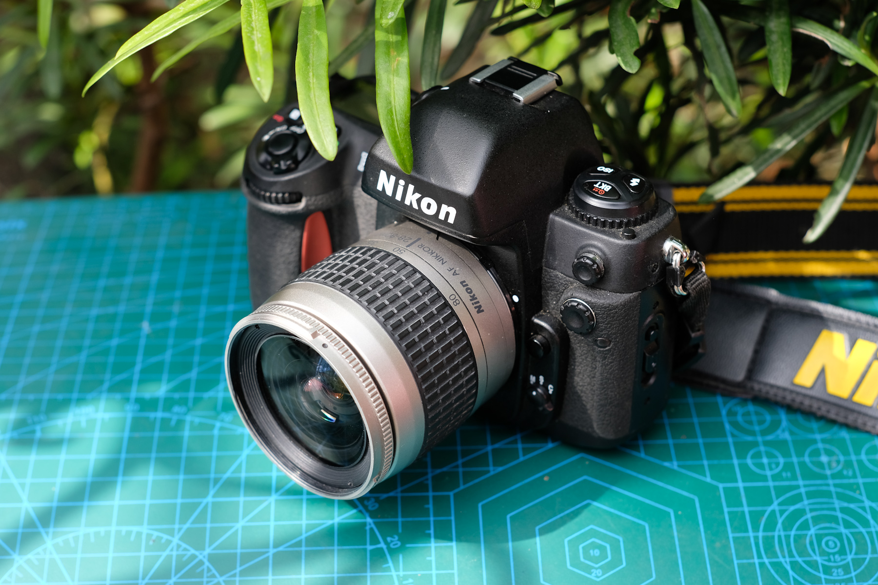 Nikon 28-80mm G – The underrated SLR camera kit lens – King