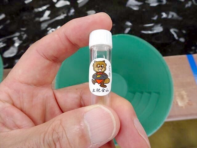 土肥金山 砂金 60粒 土肥金山 砂金 6粒 - メルカリ