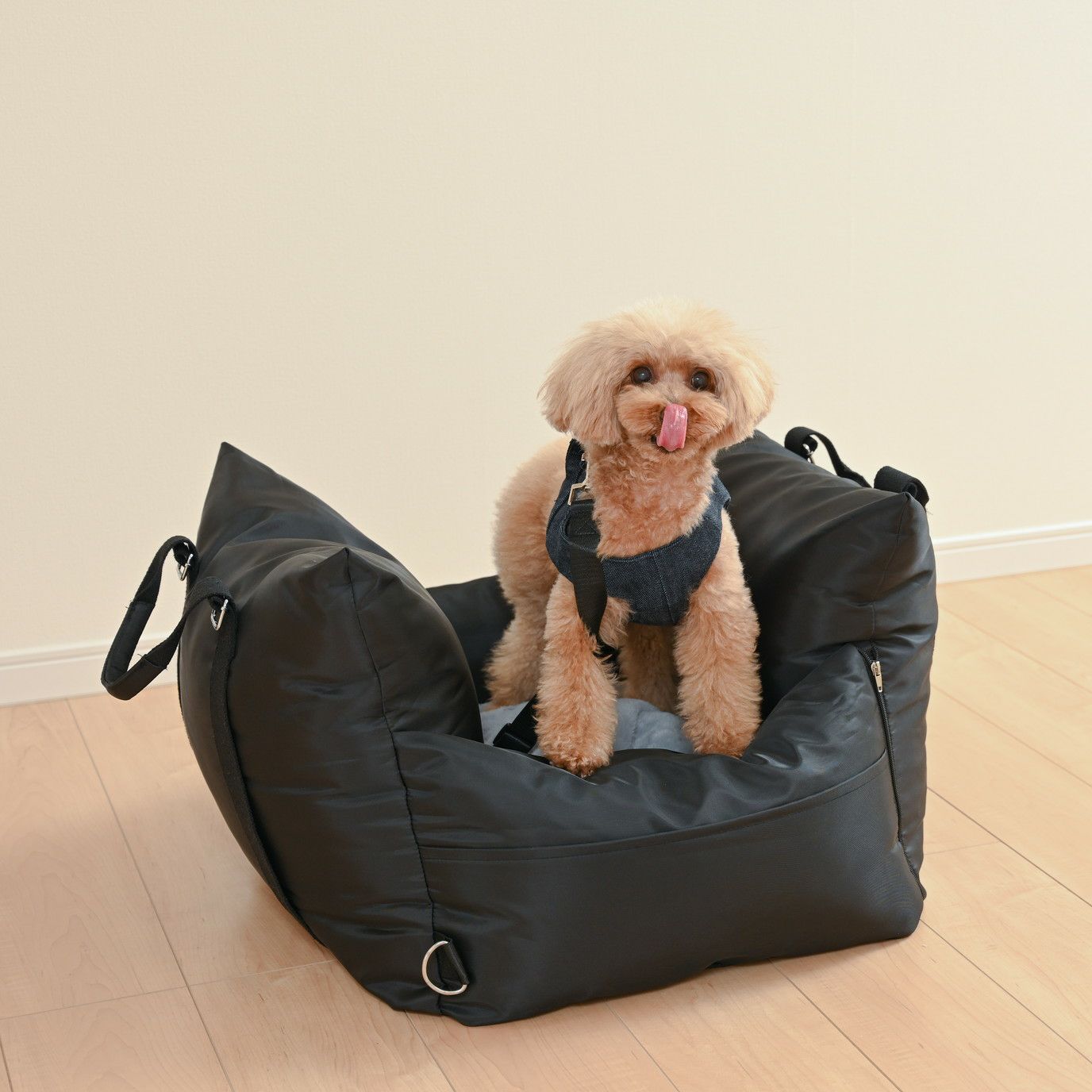 わんわんドライブソファ ブラック | KISSBABY