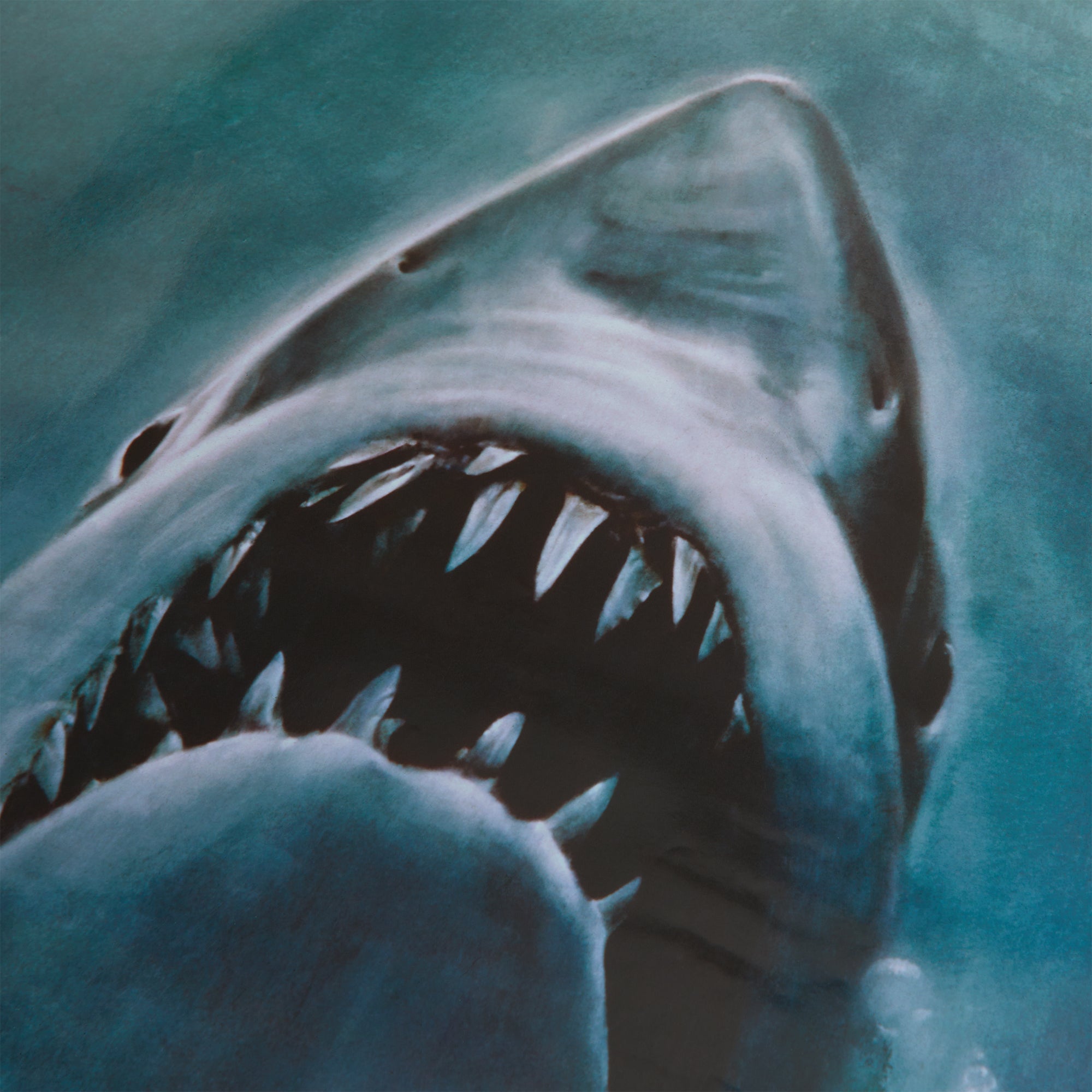 Kith for JAWS Movie Poster - Multi