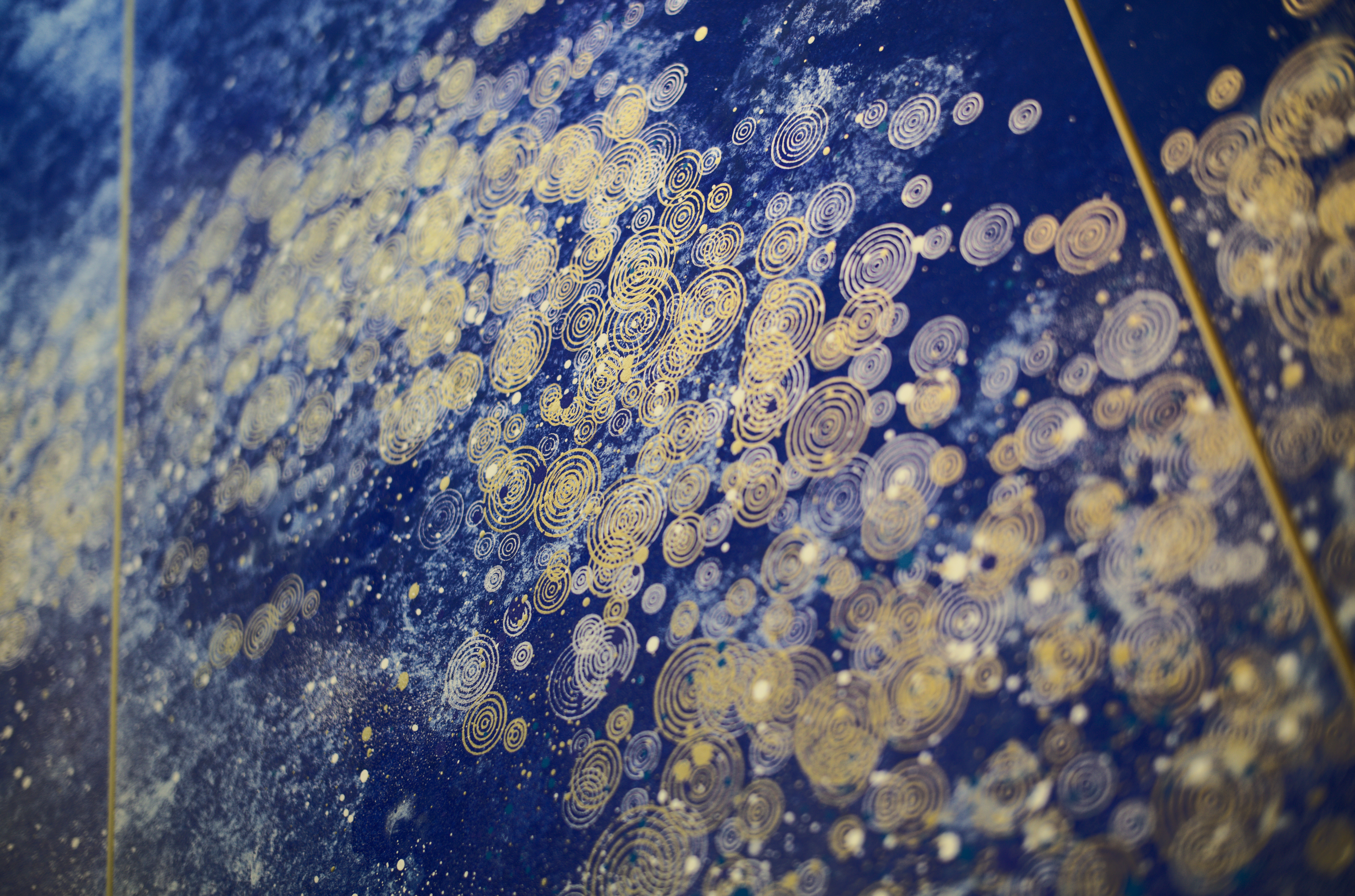 青と黄のグラデーションが美しいゾウムシ【標本】 青と黄の