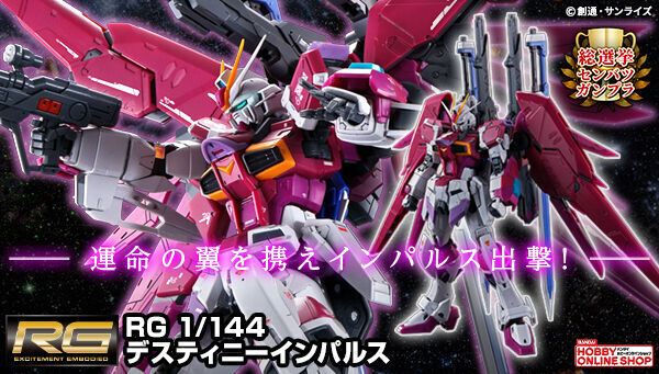 RG 1/144 デスティニーインパルス ガンダムSEED ガンプラ ガンプラ