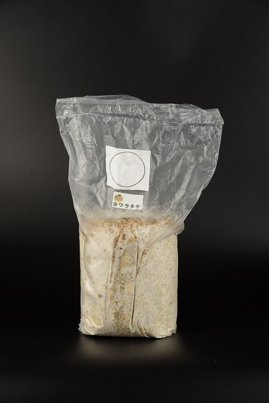 カワラ菌糸ビン1100 4本1400 3本