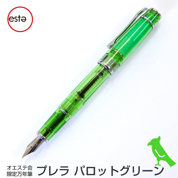 透明な緑色の万年筆 1