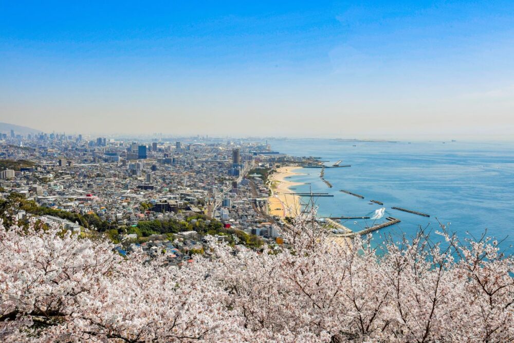 須磨浦公園で『敦盛桜 2024』が行われるみたい。新登場エリアが4つも