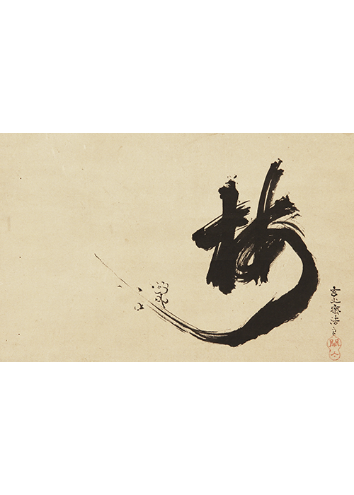 AKa7064 狩野惟信 養川院惟信 養川院法眼 肉筆 掛軸 AKa7064 狩野惟信