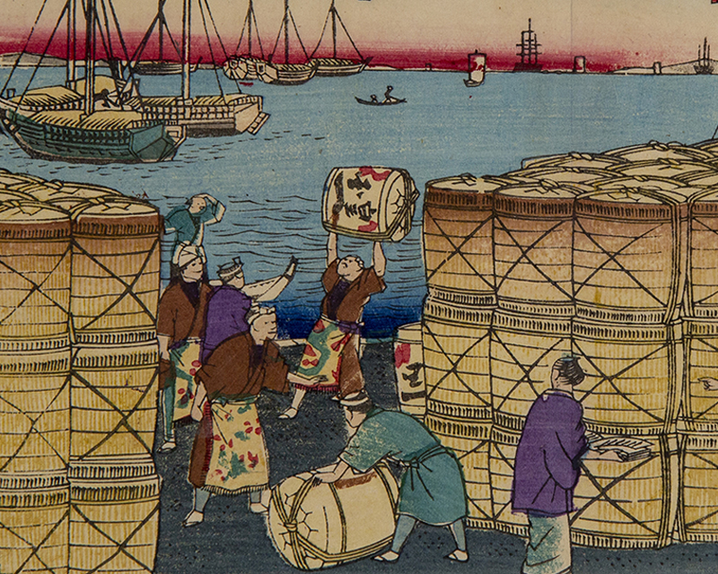 真作】「蘇鉄」画 鳥取藩絵師 黒田稲皐 （養生箱付属） 黒田稲皐の