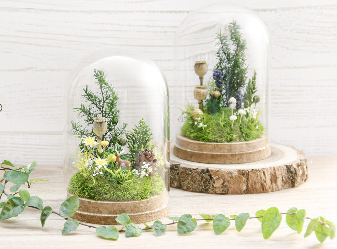 苔テラリウム販売・ワークショップ | 苔むすび